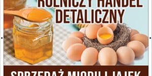 Baner Reklamowy 2 x 1 m -Sprzedaż Jajek Miodu - Baner Premium - Mocny !