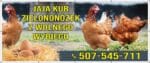 Baner Reklamowy 2 x 1 m -Sprzedaż Jajek Miodu - Baner Premium - Mocny !