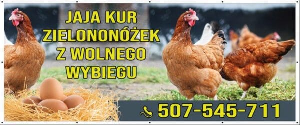 Baner Reklamowy 2 x 1 m -Sprzedaż Jajek Miodu - Baner Premium - Mocny !