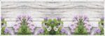 Maskownica na balkon 3 x 1 m -Kwiaty Surfinie - Baner Premium - Mocny !