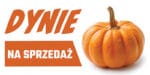 BANER REKLAMOWY - SPRZEDAŻ DYNI - 200x100 cm - SUPER JAKOŚĆ - WZ1