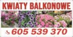 Baner Reklamowy 2 x 1 m -Sprzedaż Kwiatów- Baner Premium - Mocny !