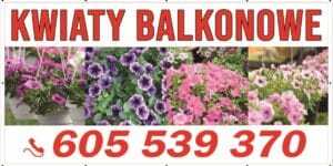 Baner Reklamowy 2 x 1 m -Sprzedaż Kwiatów- Baner Premium - Mocny !