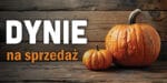 BANER REKLAMOWY - SPRZEDAŻ DYNI - 200x100 cm - SUPER JAKOŚĆ - WZ2