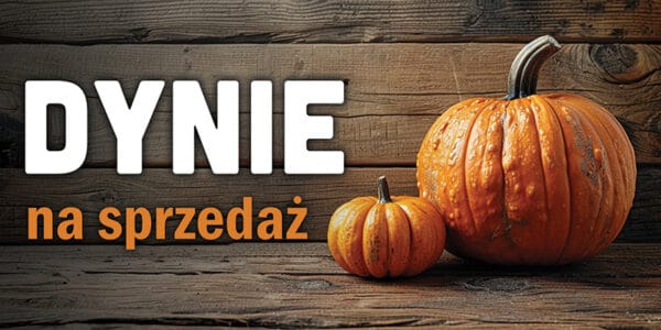 BANER REKLAMOWY - SPRZEDAŻ DYNI - 200x100 cm - SUPER JAKOŚĆ - WZ2