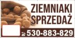 Baner Reklamowy 2 x 1 m - Sprzedaż Ziemniaków - Baner Premium - Mocny !