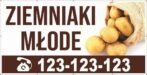 Baner Reklamowy 2 x 1 m - Sprzedaż Ziemniaków - Baner Premium - Mocny !
