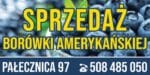 Baner Reklamowy 2 x 1 m -Sprzedaż Borówki- Baner Premium - Mocny !