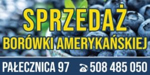 Baner Reklamowy 2 x 1 m -Sprzedaż Borówki- Baner Premium - Mocny !