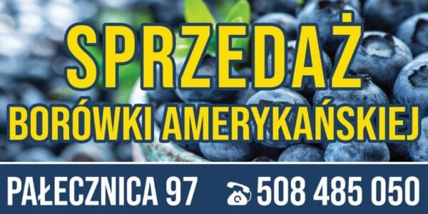 Baner Reklamowy 2 x 1 m -Sprzedaż Borówki- Baner Premium - Mocny !