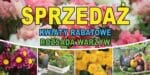 Baner Reklamowy 2 x 1 m -Sprzedaż Kwiatów- Baner Premium - Mocny !